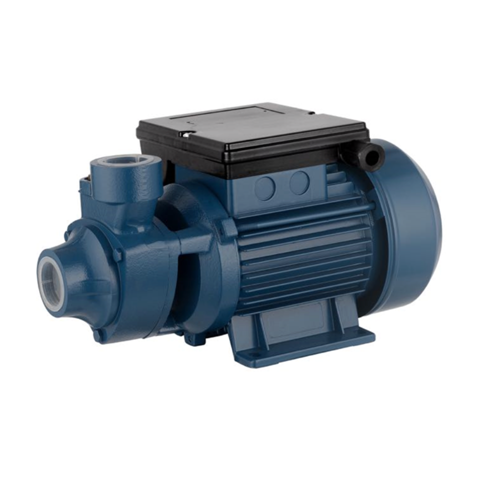 Peripheral centrifugal electric pump