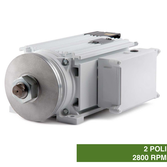 Industrial three-phase asynchronous motors with 2 low profile poles