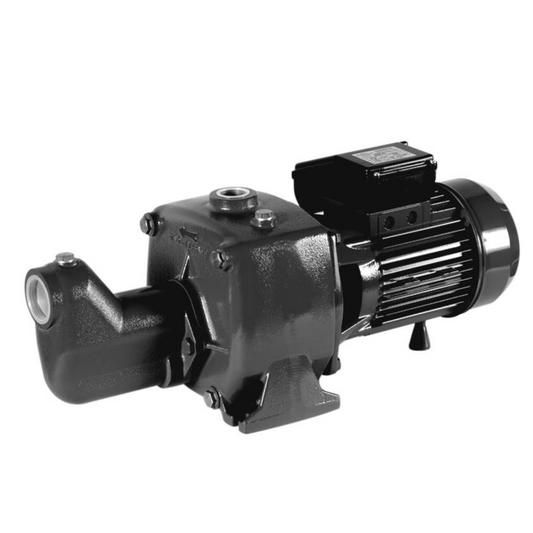 Double-impeller self-priming electric pumps 