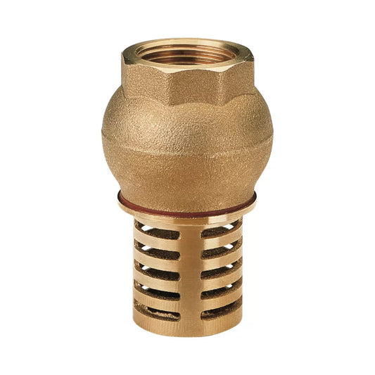 Foot valve in brass